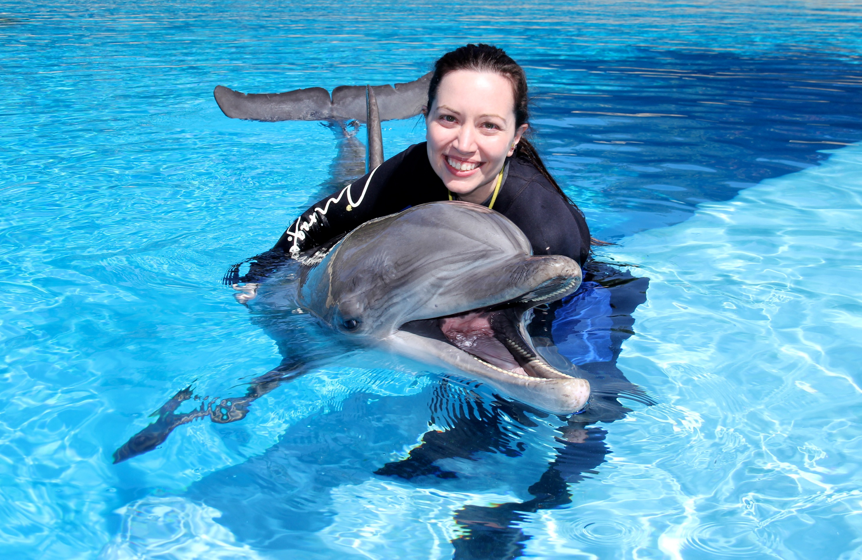 Дельфины с удовольствием разучивают и выполняют разные. Человек Дельфин. Девушка и Дельфин. Дельфины и люди. Плавание с дельфинами.