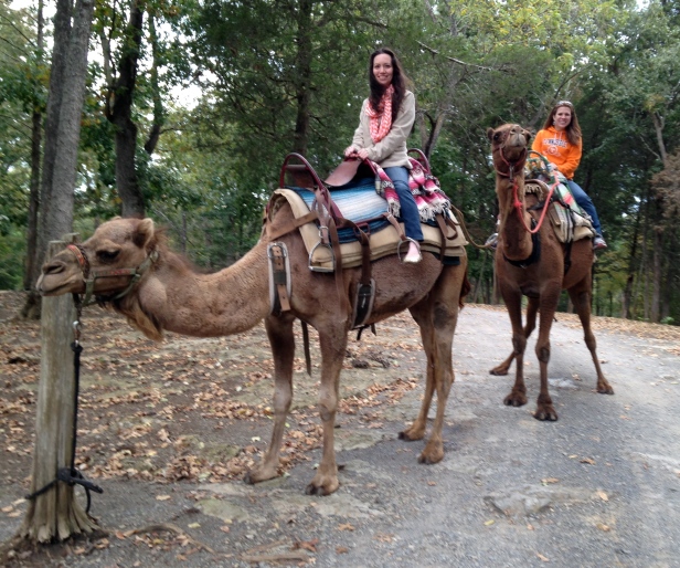 Riding a Camel