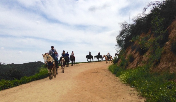 Horseback Riding Hollyridge Trail