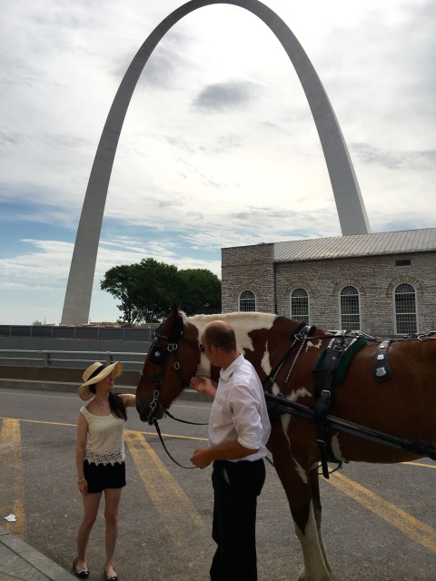 Horse St. Louis Arch
